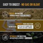 Dark Chocolate Protein Powder for Women & Men, Easy to Digest, Smooth ... - Image 3