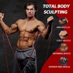 LEEKEY Resistance Bands Set for Pull-Up Assistance & Full-Body Trainin... - Image 4