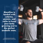 NutraOne Massone Mass Gainer Protein Powder Gain Mass Protein Meal Rep... - Image 4