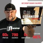 Undefined Nutrition Gigantor Mass Gainer by Brian Shaw (60g Protein, 3... - Image 5