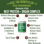 Grass Fed Beef Protein Powder + Organ Complex. Lactose Free Great Tast... - Image 4