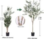 Artificial Olive Tree for Living Room Decor, 6FT Tall Faux Silk Plant ... - Image 3