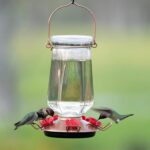 Perky-Pet 9109-1SR Crystal Top-Fill Glass Hummingbird Feeder – 28 oz, ... - Image 3