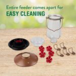 Perky-Pet 9109-1SR Crystal Top-Fill Glass Hummingbird Feeder – 28 oz, ... - Image 7