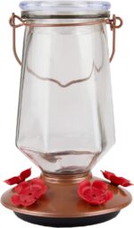 Perky-Pet 9109-1SR Crystal Top-Fill Glass Hummingbird Feeder – 28 oz, ... - Image 9