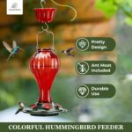 Kingsyard Glass Hummingbird Feeder 24 Ounces, 6 Feeding Ports, Hanging... - Image 3