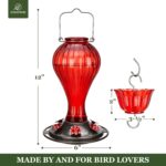 Kingsyard Glass Hummingbird Feeder 24 Ounces, 6 Feeding Ports, Hanging... - Image 5