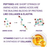 Neck and Decollete Firming Cream for Women - Neck Firming and Tighteni... - Image 4