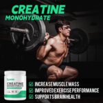 Creatine Monohydrate Powder 500g, Pure Micronized Creatine Supplements... - Image 4