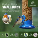 Kingsyard Upgraded Bluebird Feeder for Outdoors Hanging - Metal Mealwo... - Image 4