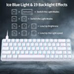 DIERYA T68SE 60% Gaming Mechanical Keyboard,Extremely Compact Mini 68 Key ... - Image 6