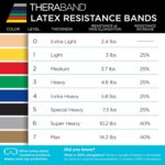 THERABAND Resistance Band Set, Skilled Elastic Bands for Higher & ... - Image 6
