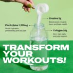 Harlo - Collagen & Creatine Electrolyte Drink Combine – Pineapple Salt Fla... - Image 4