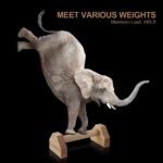 Push-up Stand, 2 PCS Wooden Pushup Bars Non-Slip Base Train House Work... - Image 4