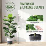 Suntee 2 Pack Synthetic Fiddle Leaf Fig Tree, 30" Ficus Lyrata Pretend P... - Image 3