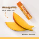 Burt's Bees Lip Balm - Mango, Lip Moisturizer With Responsibly Sourced... - Image 3