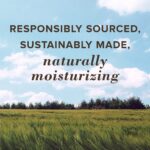 Burt's Bees Lip Balm - Mango, Lip Moisturizer With Responsibly Sourced... - Image 4