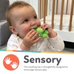 Nuby Teethe N' Pop Sensory Play Teether - Child Teething Toy - 3+ Month... - Image 3