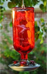 Perky-Pet 8109-2 Vintage Glass Bottle Hummingbird Feeder-16-Ounce Capa... - Image 3