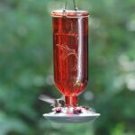 Perky-Pet 8109-2 Vintage Glass Bottle Hummingbird Feeder-16-Ounce Capa... - Image 4