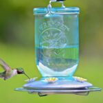 Perky-Pet 785-1SR Mason Jar Classic Glass Hummingbird Feeder - Out of doors... - Image 3