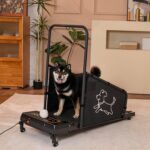Canine Treadmill for Medium Small Canine, Pet Treadmill for Canine as much as 220 ... - Image 3
