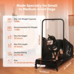 Canine Treadmill for Medium Small Canine, Pet Treadmill for Canine as much as 220 ... - Image 4