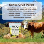 Santa Cruz Paleo Whey Protein Powder, Peanut Butter Cup, 20 G Grass Fe... - Image 4