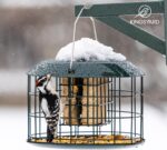 Kingsyard Squirrel Proof Suet Feeder, Cage Fowl Feeders for Outdoor H... - Image 9