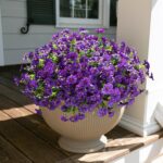 Synthetic Flowers for Outside Faux Vegetation Outdoors Ornament, 12 Bun... - Image 6