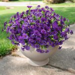 Synthetic Flowers for Outside Faux Vegetation Outdoors Ornament, 12 Bun... - Image 7