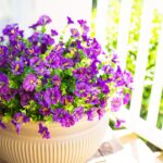 Synthetic Flowers for Outside Faux Vegetation Outdoors Ornament, 12 Bun... - Image 8