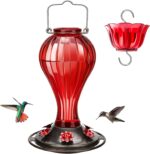 Kingsyard Glass Hummingbird Feeder 24 Ounces, 6 Feeding Ports, Hanging... - Image 2
