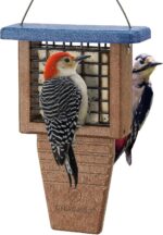 Kingsyard Recycled Plastic Suet Chook Feeder, Tail Prop Suet Feeder for... - Image 2