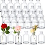 Lallisa 30 Pcs 4 Inches Small Glass Bud Vases Bulk Mini Flower Vases f... - Image 2
