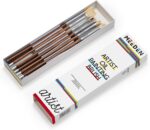 MEEDEN Artist Oil Paint Brush Set: 10 Pcs Hog Bristle Artwork Paint Brushe... - Image 2