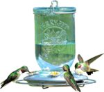 Perky-Pet 785-1SR Mason Jar Classic Glass Hummingbird Feeder - Out of doors... - Image 2