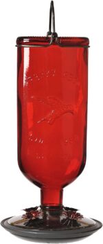 Perky-Pet 8109-2 Vintage Glass Bottle Hummingbird Feeder-16-Ounce Capa... - Image 2