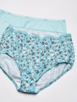 Hanes Ladies's Cotton Temporary Worth Pack, 10-Pack, Assorted Temporary Underwe... - Image 4