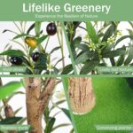 Fake Olive Tree 6FT, Synthetic Potted Tree with Planter, Silk Crops ... - Image 3