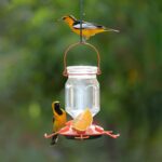 Perky-Pet 9113-2 High-Fill Glass Oriole Feeder – 22 Oz, Orange - Image 3