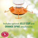 Perky-Pet 9113-2 High-Fill Glass Oriole Feeder – 22 Oz, Orange - Image 4