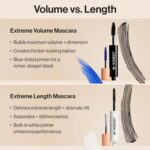 Trustworthy Magnificence 2-in-1 Excessive Quantity Clear Mascara + Daring Lash Primer w... - Image 8