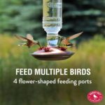 Perky-Pet 8107-1SR Vintage Glass Bottle Hummingbird Feeder - Out of doors G... - Image 3