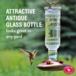 Perky-Pet 8107-1SR Vintage Glass Bottle Hummingbird Feeder - Out of doors G... - Image 4