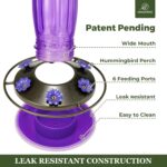 Kingsyard Glass Hummingbird Feeder for Outdoor Wild Hen Feeder with ... - Image 4