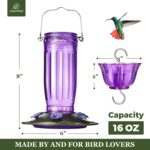 Kingsyard Glass Hummingbird Feeder for Outdoor Wild Hen Feeder with ... - Image 5