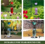 Kingsyard Glass Hummingbird Feeder for Outdoor Wild Hen Feeder with ... - Image 6