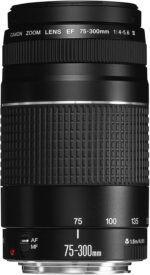 Canon RF 75-300mm f/4-5.6 Compact Telephoto Zoom Lens for RF Mount - F... - Image 3
