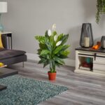 Practically Pure 42” Spathiphyllum Synthetic (Actual Contact) Silk Crops G... - Image 3